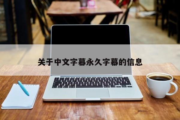 关于中文字幕永久字幕的信息