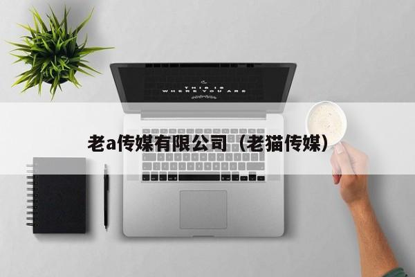 老a传媒有限公司（老猫传媒）