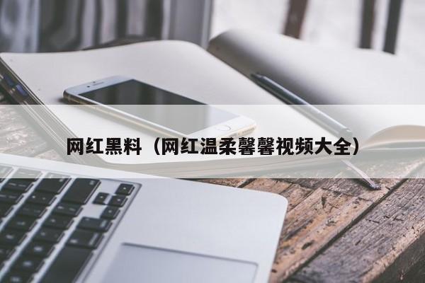 网红黑料（网红温柔馨馨视频大全）