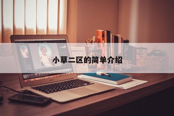 小草二区的简单介绍