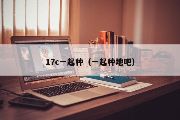 17c一起种（一起种地吧）